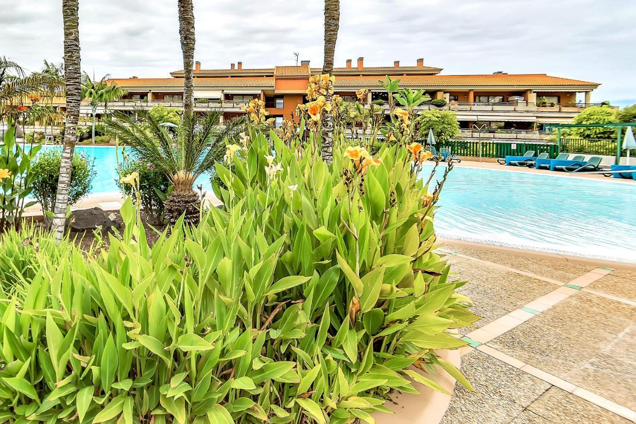 Piscinas Del Teide Daire Puerto de la Cruz  Dış mekan fotoğraf
